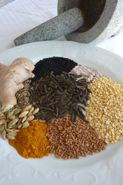 Yoga Schule und Ayurveda Praxis Monika Ostheimer - Yoga Kurse am Taunus | Ayurveda und Gesundheit